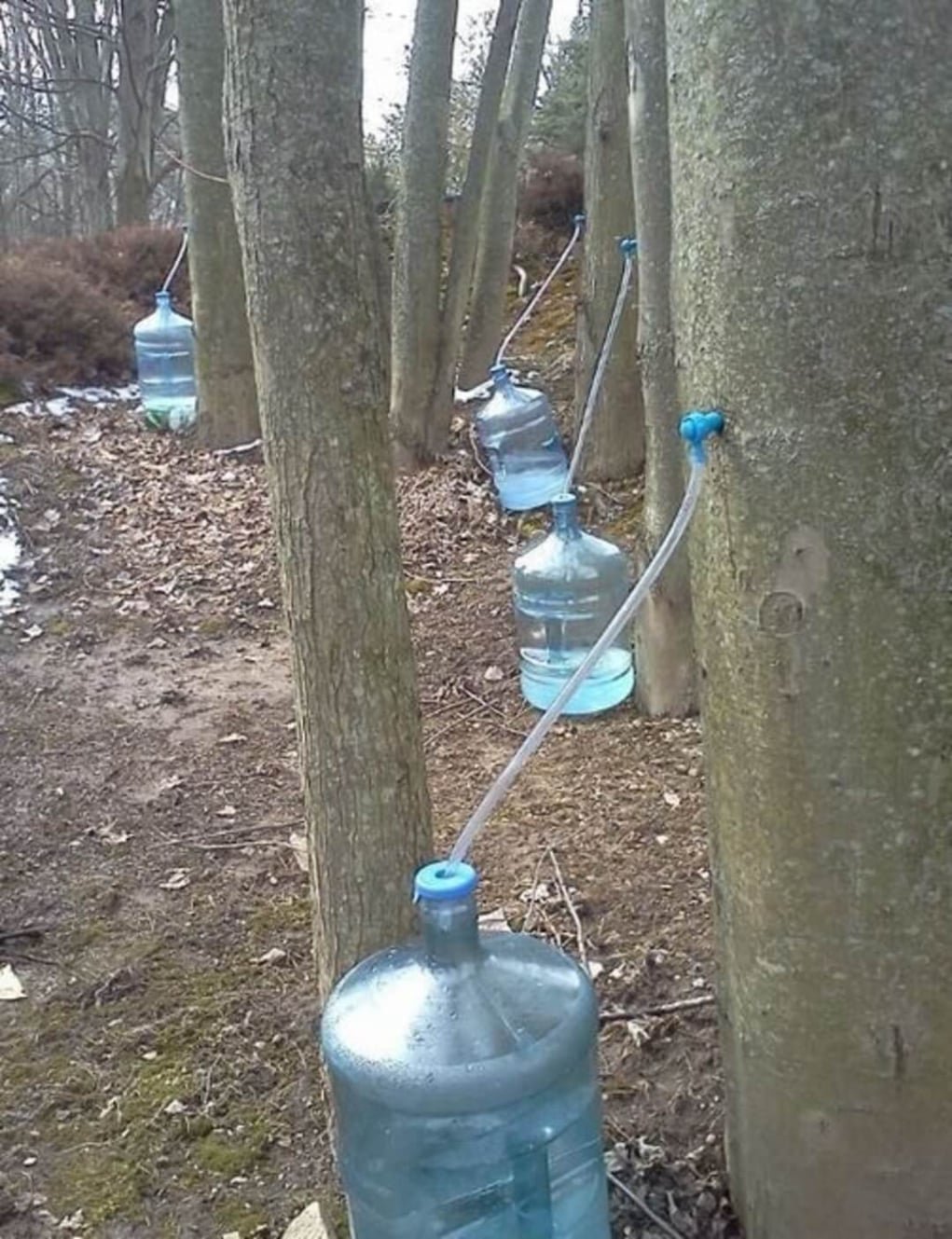 Aqua Tower atmospheric water generator producing clean water from air